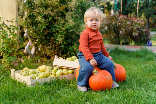 Little child baby toddler with autumn harvest of apples and pumpkins on the grass