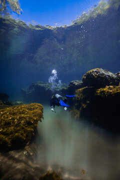 Scuba diving adventure in Cancun&acirc;&euro;&trade;s mangrove waters