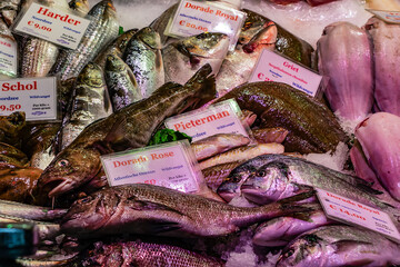 Many kinds of seafood on sell in Albert Cuyp Market in Amsterdam. Albert Cuypmarkt is the largest...
