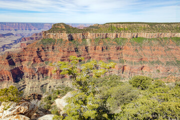 Red sandstone canyon wall and Grand Canyon landscape Arizona.