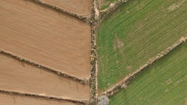 Overhead view of colorful, geometric farm plots.