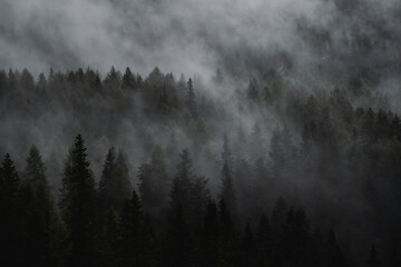 fog in the mountains - obrazy, fototapety, plakaty
