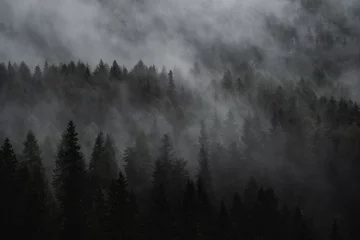 Deurstickers fog in the mountains © antoinebuchet
