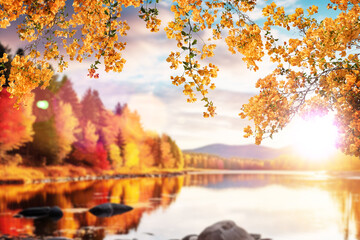 Paisaje de otoño naranja y amarillo en el campo. Enmarcado por los árboles de otoño el rio y el...