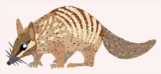 Nambat, australian marsupial anteater. Vector isolated illustration.