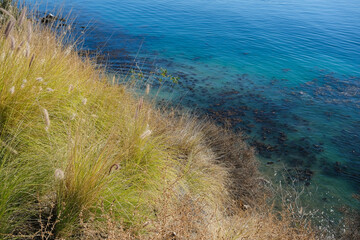 Breathtaking scenic and landscape view of coastline of Rancho Palos Verdes with vegetation and...