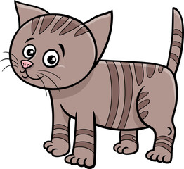Fototapeta na wymiar cute cartoon tabby kitten comic animal character
