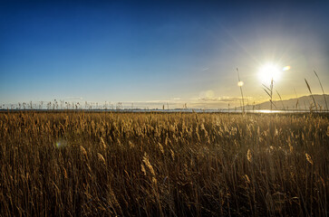 The Ebro Delta is a big wetland area and a unique natural region located in Spain.