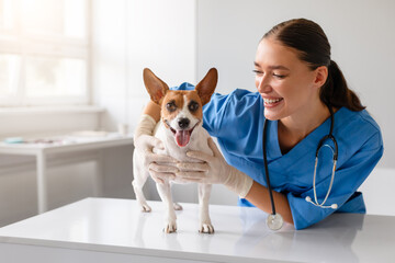 Vet enjoys interacting with a cheerful dog