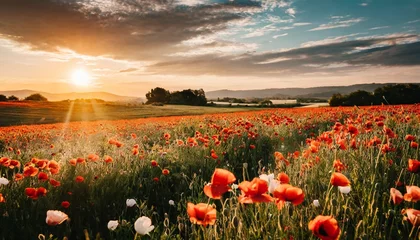 Foto op Plexiglas amazing poppy field landscape against colorful sky © Emanuel