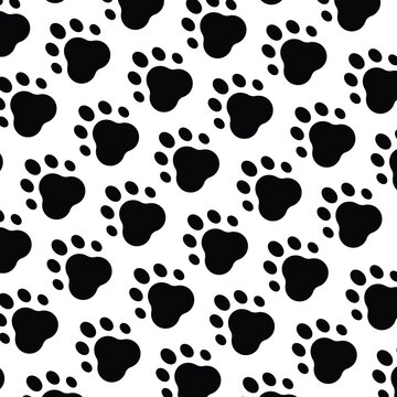 vector paw print on white background pattern, paw print design