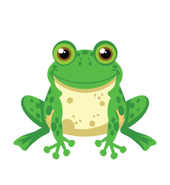 funny Green frog cartoon sitting