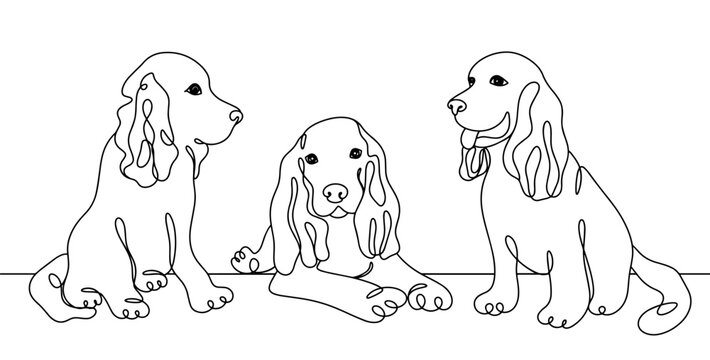 Cocker Spaniel. One line