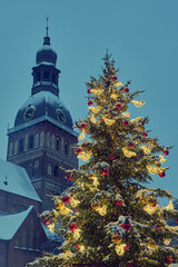 Decorated Christmas tree at the Dome Square in old Riga city, Riga Cathedral tower on background. Riga, Latvia.