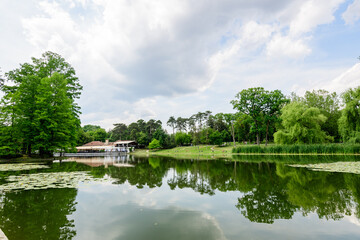Fototapeta premium Vivid landscape in Nicolae Romaescu park from Craiova in Dolj county, Romania, with lake, waterlillies and large green tres in a beautiful sunny spring day with blue sky and white clouds
