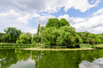 Fototapeta na wymiar Vivid landscape in Nicolae Romaescu park from Craiova in Dolj county, Romania, with lake, waterlillies and large green tres in a beautiful sunny spring day with blue sky and white clouds