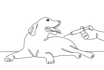 Dog. Graft. Rabies. One line