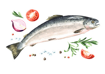Fresh fish Salmon. Hand drawn watercolor illustration, isolated on white background