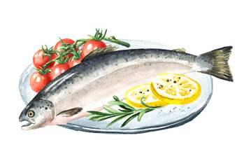 Fresh fish salmon.  Hand drawn watercolor illustration,  isolated on white background