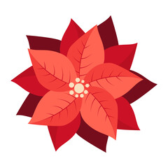 Red flower poinsettia. Traditional christmas decoration. Hand drawn vector illustration isolated on white background, flat cartoon style.