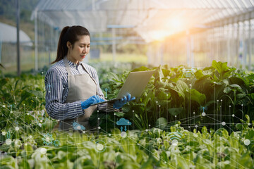 Farmer woman using tablet to check quality and modern interface icons,  Business agriculture...