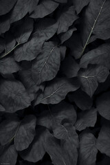 leaf on black background - obrazy, fototapety, plakaty