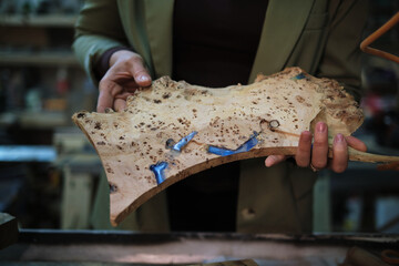A woodworker s hands carefully assess a piece of burl, where the swirls and knots speak of the wood s journey from nature to craft.