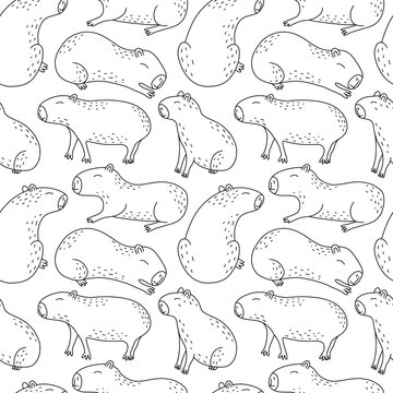 Cute capybara seamless pattern. Vector hand drawn capybaras pattern on white background