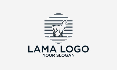  llama logo design vector © anello