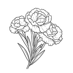Minimalistic Carnation Line Art Vector SVG Coloring