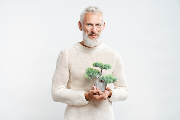 Attractive gray haired mature man wearing sweater holding bonsai plant isolated on gray background
