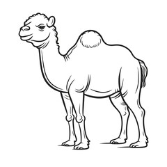 Minimalistic Cute Camel - Full Body Line Art Vector