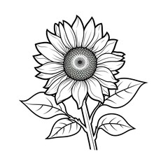 Minimalistic Daisy Line Art Vector SVG Coloring