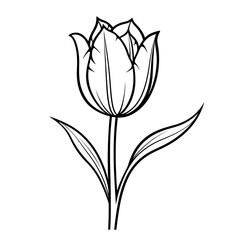 Minimalistic Carnation Line Art Vector SVG