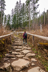 Fototapeta na wymiar Woman with backpack are walking on a stone path in mountains. Tourist on a trip in the mountain. Healthy lifestyle, nordic walking. Landscape in Tatra Mountains.