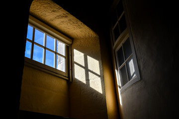 looking out basement window during day
