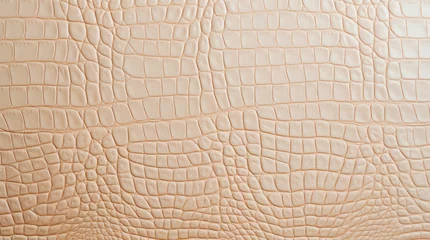 Poster Cream crocodile leather texture. © Hanna