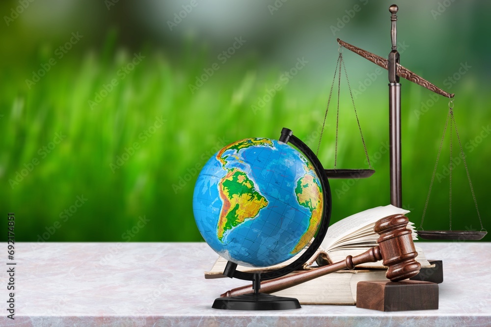 Poster Environment Law. globe and wooden gavel