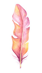 Hand painted watercolor bird feather, close up isolated on transparent background. Art scrapbook element, sketch, hand drawn.