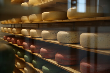 Fresh cheese heads on rack in factory warehouse - obrazy, fototapety, plakaty