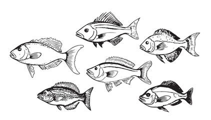 Collection of fish sketch hand drawn engraving style illustration - obrazy, fototapety, plakaty