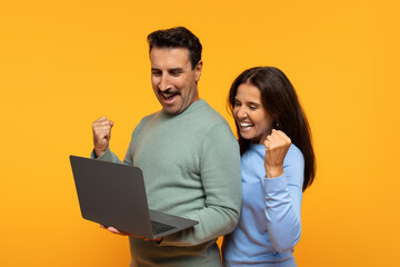 Happy senior european man and woman enthusiastically celebrate, fists pumped, while looking at...