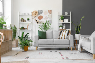 Interior of living room with grey sofa and houseplants
