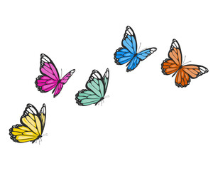 set of butterflies colordul watercolor brush paint