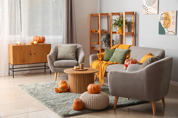 Interior of modern living room with grey sofa, armchairs, coffee table and pumpkins