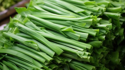 Obraz premium Fresh fenugreek plant UHD wallpaper