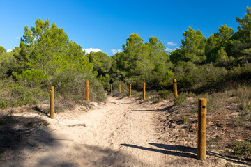 Wanderweg im Naturschutzgebiet Punta de n´Amer bei Cala Millor, Mallorca