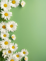 Frame with Daisy chamomile flowers on pastel green background with copy space inside