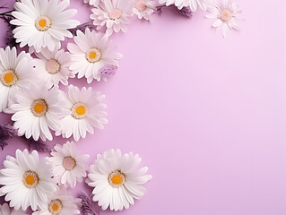 Frame with Daisy chamomile flowers on pastel purple background with copy space inside
