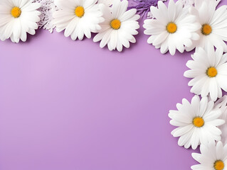 Fototapeta na wymiar Frame with Daisy chamomile flowers on pastel purple background with copy space inside